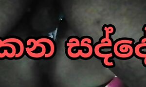 Sri lankan couple sex seemly  api hukana sadde ahanna anna.