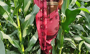 Indian Village Bhabhi Open-air Vlog Enjoyed With Knockers Showing And Fingerings Indian Red Saree Casting Enjoyed Bhabhi Pregent