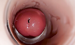 Camera inside abysm pussy captures huge ejaculation be worthwhile for sperm